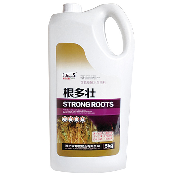 根多壯