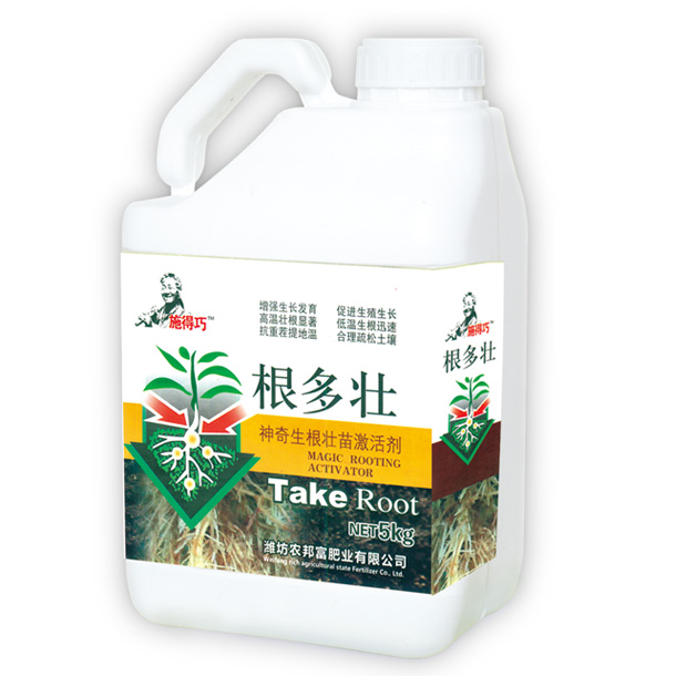 根多壯