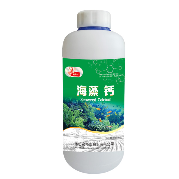 海藻 鈣